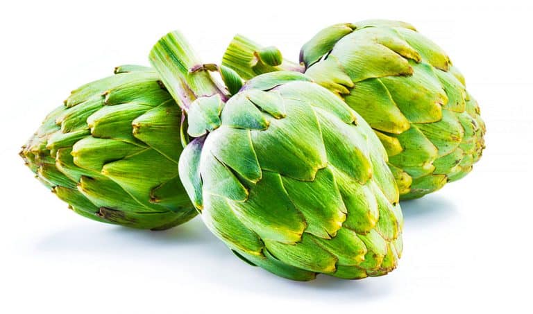 Are Artichokes Keto Friendly? Carbs In Artichokes